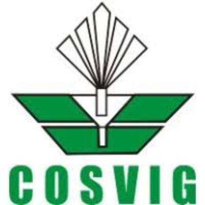 Cosvig