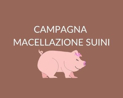 suini