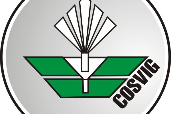 cosvig
