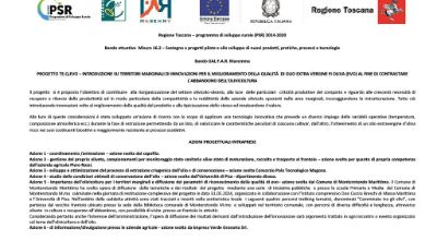 Relazione 