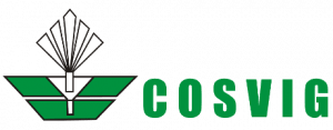cosvig cosvig